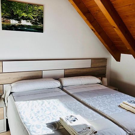 Apartamentos Zabalarena Basoa Orbaiceta Dış mekan fotoğraf