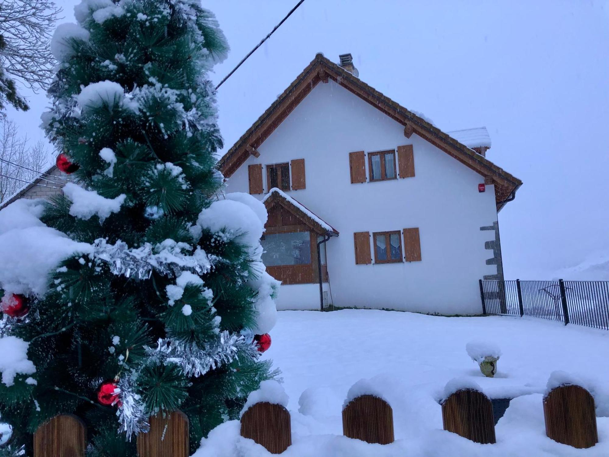 Apartamentos Zabalarena Basoa Orbaiceta Dış mekan fotoğraf