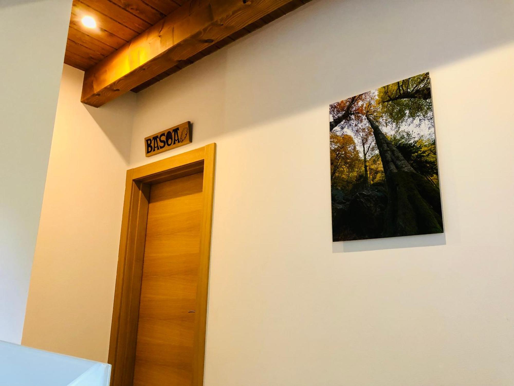 Apartamentos Zabalarena Basoa Orbaiceta Dış mekan fotoğraf