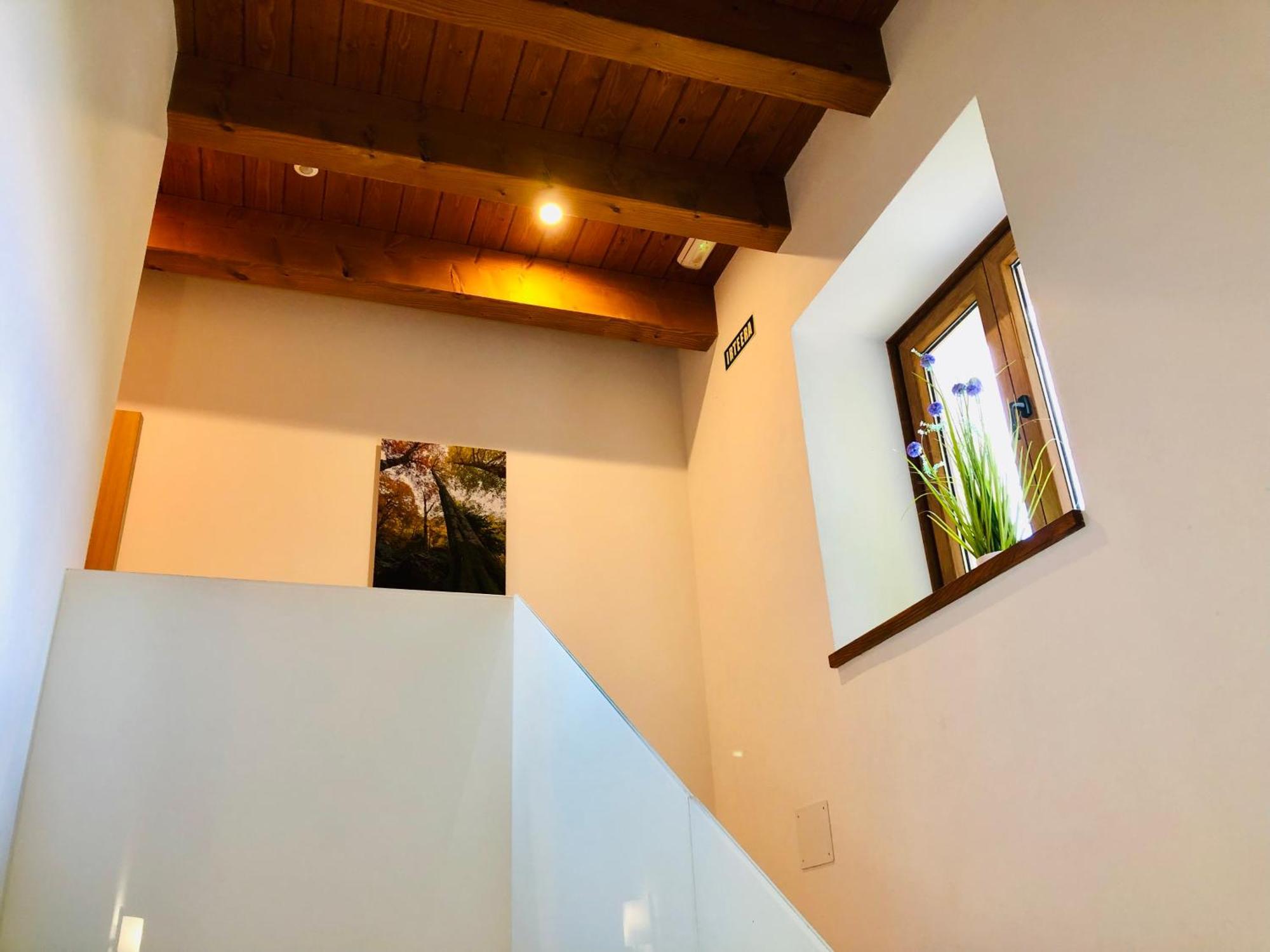 Apartamentos Zabalarena Basoa Orbaiceta Dış mekan fotoğraf
